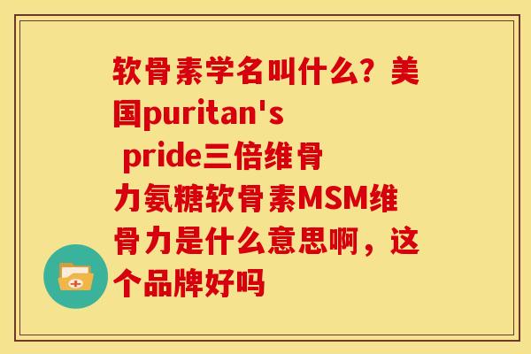 软骨素学名叫什么？美国puritan's pride三倍维骨力氨糖软骨素MSM维骨力是什么意思啊，这个品牌好吗