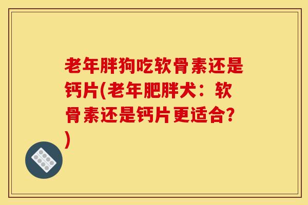 老年胖狗吃软骨素还是钙片(老年肥胖犬：软骨素还是钙片更适合？)