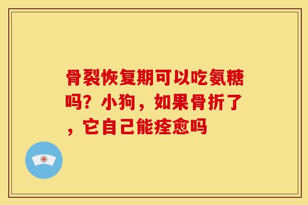 骨裂恢复期可以吃氨糖吗？小狗，如果骨折了，它自己能痊愈吗