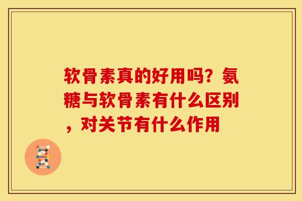 软骨素真的好用吗？氨糖与软骨素有什么区别，对关节有什么作用