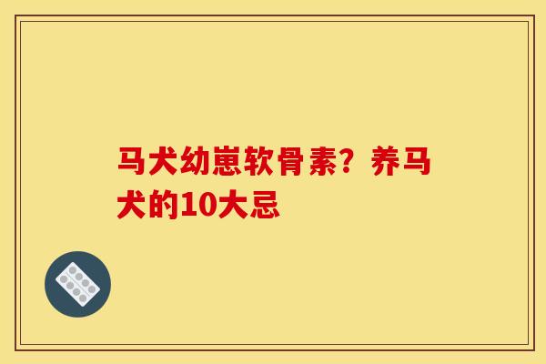 马犬幼崽软骨素？养马犬的10大忌