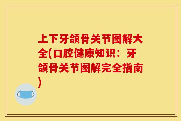 上下牙颌骨关节图解大全(口腔健康知识：牙颌骨关节图解完全指南)