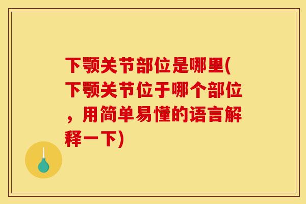 下颚关节部位是哪里(下颚关节位于哪个部位，用简单易懂的语言解释一下)