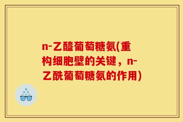 n-乙醯葡萄糖氨(重构细胞壁的关键，n-乙酰葡萄糖氨的作用)