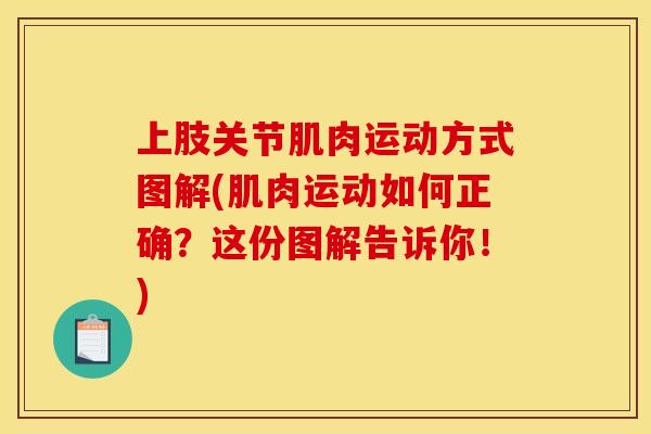 上肢关节肌肉运动方式图解(肌肉运动如何正确？这份图解告诉你！)