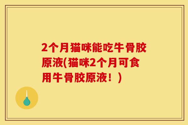 2个月猫咪能吃牛骨胶原液(猫咪2个月可食用牛骨胶原液！)