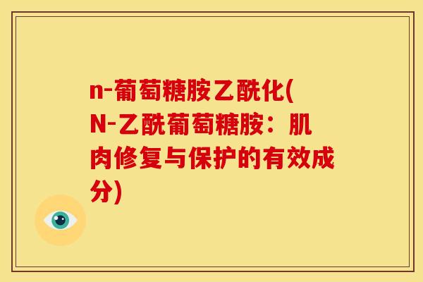 n-葡萄糖胺乙酰化(N-乙酰葡萄糖胺：肌肉修复与保护的有效成分)