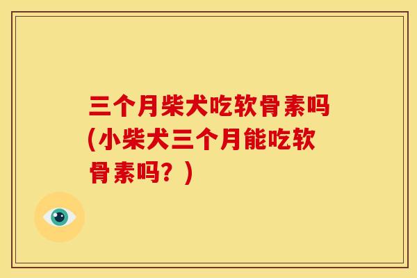 三个月柴犬吃软骨素吗(小柴犬三个月能吃软骨素吗？)