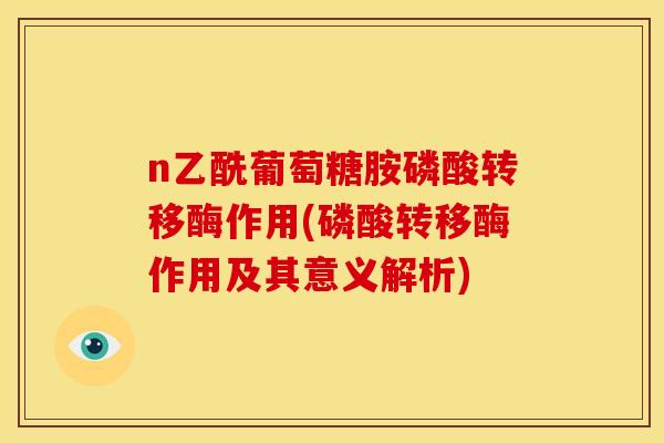 n乙酰葡萄糖胺磷酸转移酶作用(磷酸转移酶作用及其意义解析)