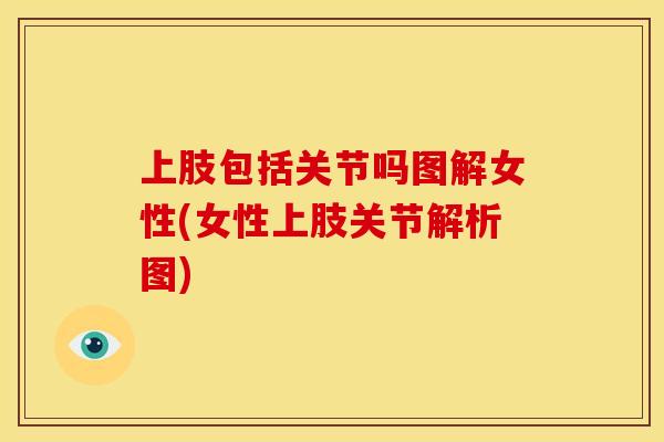 上肢包括关节吗图解女性(女性上肢关节解析图)