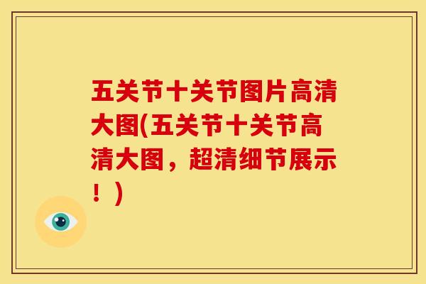 五关节十关节图片高清大图(五关节十关节高清大图，超清细节展示！)