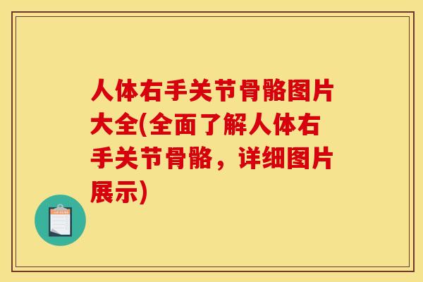 人体右手关节骨骼图片大全(全面了解人体右手关节骨骼，详细图片展示)