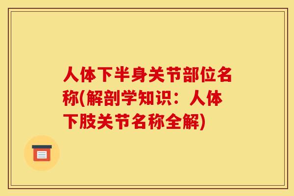 人体下半身关节部位名称(解剖学知识：人体下肢关节名称全解)