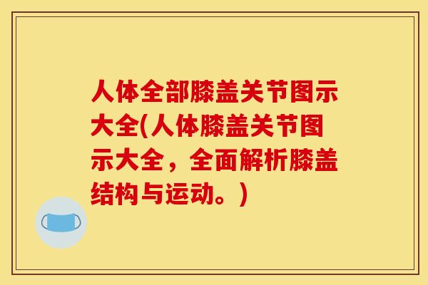 人体全部膝盖关节图示大全(人体膝盖关节图示大全，全面解析膝盖结构与运动。)