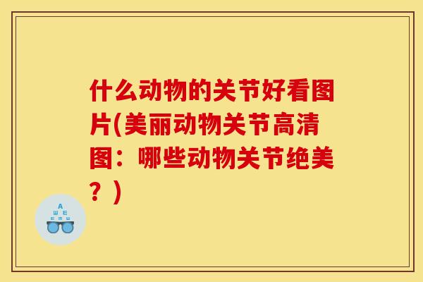 什么动物的关节好看图片(美丽动物关节高清图：哪些动物关节绝美？)