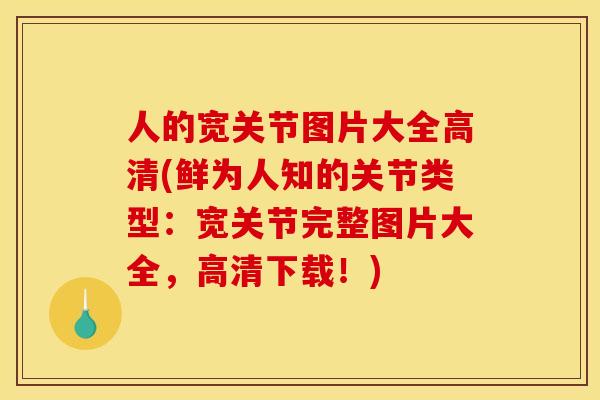 人的宽关节图片大全高清(鲜为人知的关节类型：宽关节完整图片大全，高清下载！)