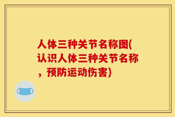 人体三种关节名称图(认识人体三种关节名称，预防运动伤害)