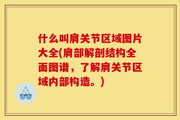 什么叫肩关节区域图片大全(肩部解剖结构全面图谱，了解肩关节区域内部构造。)