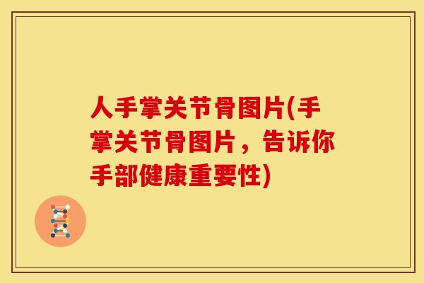 人手掌关节骨图片(手掌关节骨图片，告诉你手部健康重要性)