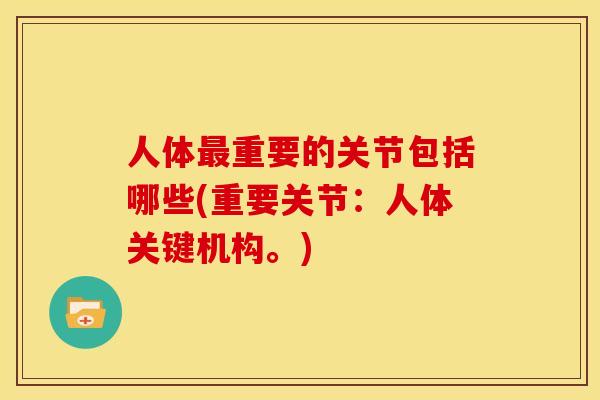 人体最重要的关节包括哪些(重要关节：人体关键机构。)
