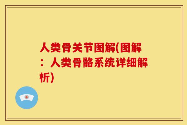 人类骨关节图解(图解：人类骨骼系统详细解析)