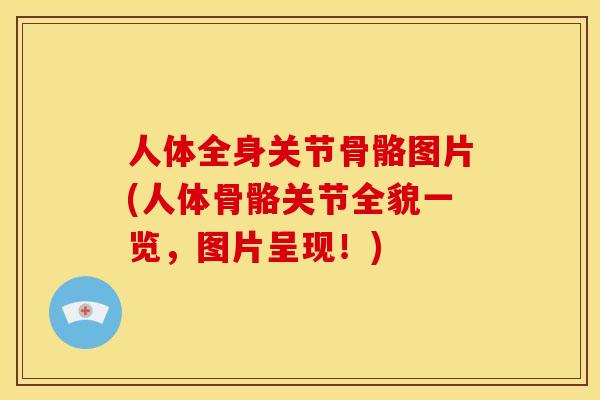 人体全身关节骨骼图片(人体骨骼关节全貌一览，图片呈现！)