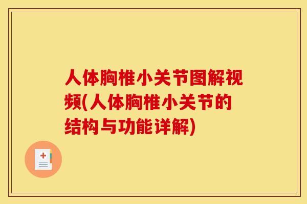 人体胸椎小关节图解视频(人体胸椎小关节的结构与功能详解)