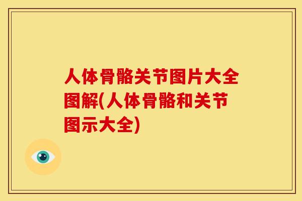 人体骨骼关节图片大全图解(人体骨骼和关节图示大全)