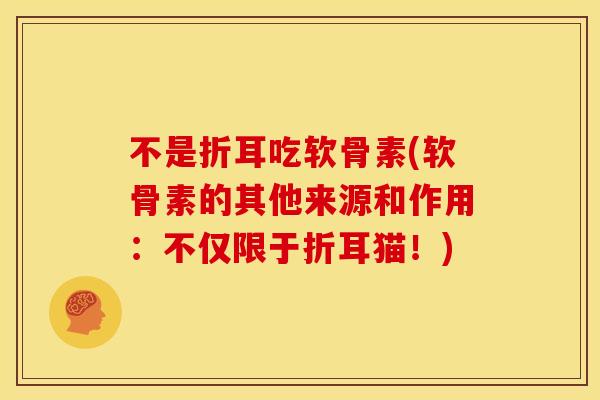 不是折耳吃软骨素(软骨素的其他来源和作用：不仅限于折耳猫！)
