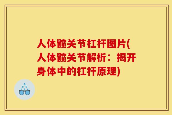 人体髋关节杠杆图片(人体髋关节解析：揭开身体中的杠杆原理)