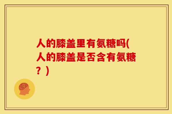 人的膝盖里有氨糖吗(人的膝盖是否含有氨糖？)