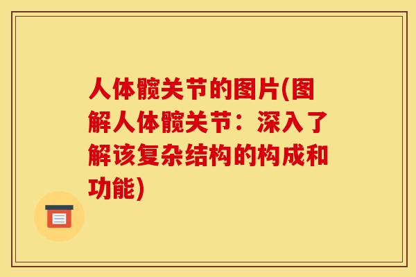 人体髋关节的图片(图解人体髋关节：深入了解该复杂结构的构成和功能)