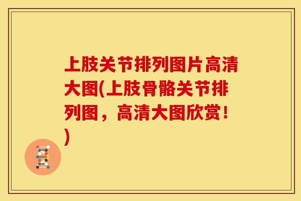 上肢关节排列图片高清大图(上肢骨骼关节排列图，高清大图欣赏！)