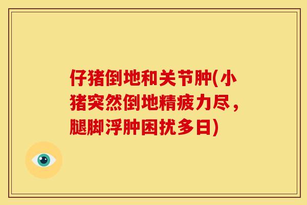仔猪倒地和关节肿(小猪突然倒地精疲力尽，腿脚浮肿困扰多日)