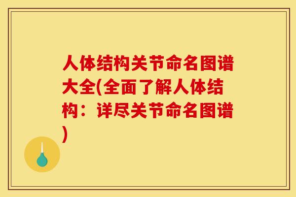 人体结构关节命名图谱大全(全面了解人体结构：详尽关节命名图谱)