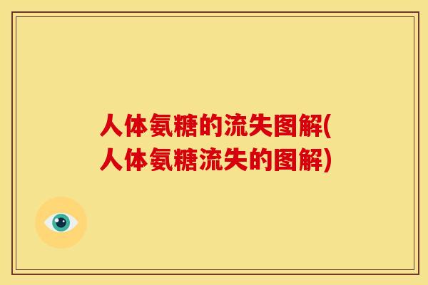 人体氨糖的流失图解(人体氨糖流失的图解)