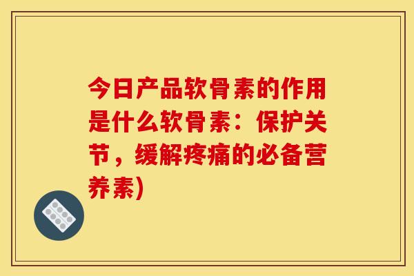 今日产品软骨素的作用是什么软骨素：保护关节，缓解疼痛的必备营养素)
