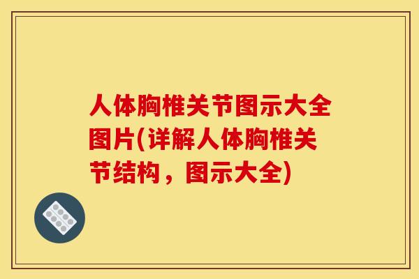 人体胸椎关节图示大全图片(详解人体胸椎关节结构，图示大全)