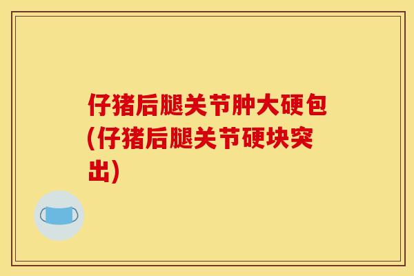 仔猪后腿关节肿大硬包(仔猪后腿关节硬块突出)