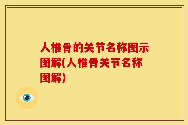 人椎骨的关节名称图示图解(人椎骨关节名称图解)