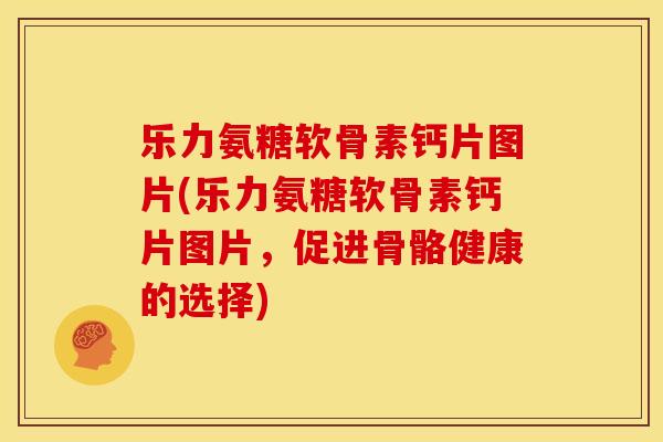 乐力氨糖软骨素钙片图片(乐力氨糖软骨素钙片图片，促进骨骼健康的选择)