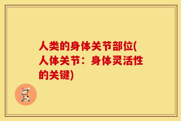 人类的身体关节部位(人体关节：身体灵活性的关键)