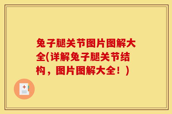 兔子腿关节图片图解大全(详解兔子腿关节结构，图片图解大全！)