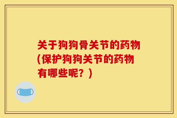 关于狗狗骨关节的药物(保护狗狗关节的药物有哪些呢？)