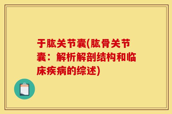 于肱关节囊(肱骨关节囊：解析解剖结构和临床疾病的综述)