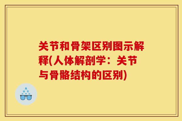 关节和骨架区别图示解释(人体解剖学：关节与骨骼结构的区别)