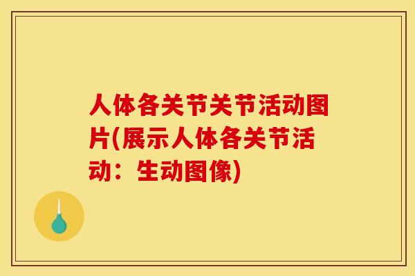 人体各关节关节活动图片(展示人体各关节活动：生动图像)
