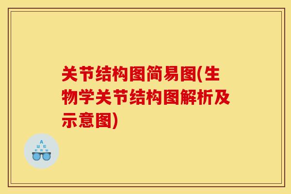 关节结构图简易图(生物学关节结构图解析及示意图)