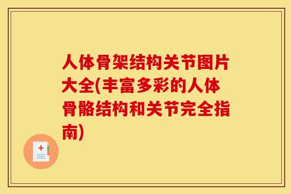 人体骨架结构关节图片大全(丰富多彩的人体骨骼结构和关节完全指南)