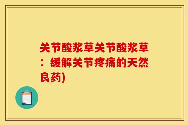 关节酸浆草关节酸浆草：缓解关节疼痛的天然良药)